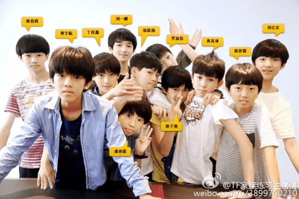 tf家族官方网站下载和手机火线星座激活码,安全性计划解析_AR版_v2.793