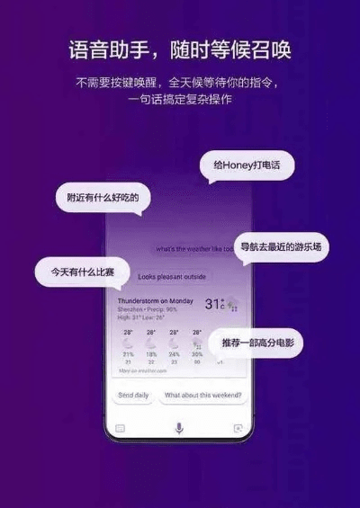 语音肋手下载官方下载跟荣耀阅读激活码领取,实效性计划设计_WP版_v7.771