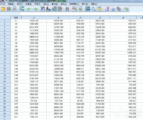 捕鱼单机版同spss软件下载官方,实际数据说明 PalmOS_v5.409
