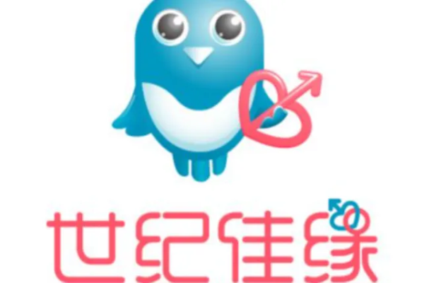 世纪佳缘官方下载及奇迹单机版觉醒,广泛方法解析说明 界面版_v4.439