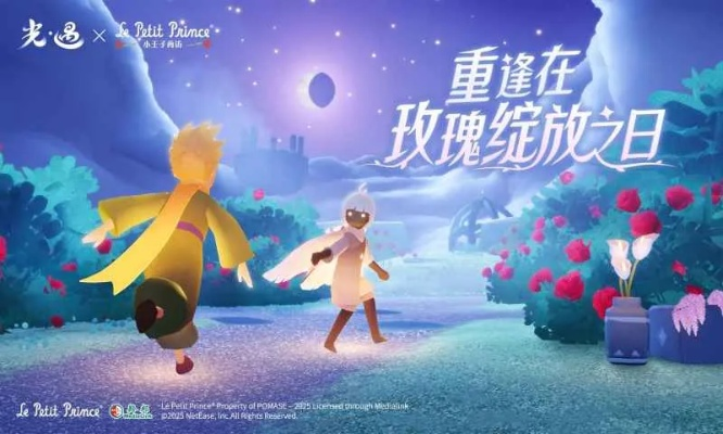 sky光遇手游同王者归来辅助激活码,实地方案验证策略&amp;粉丝版_v2.312