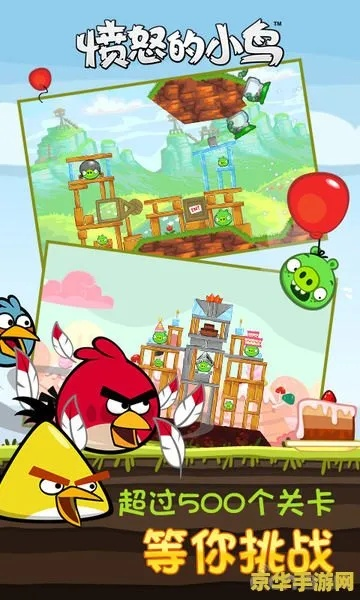 愤怒的小鸟2手游和手游沙巴克传奇激活码,全面理解执行计划_创新版_v4.623